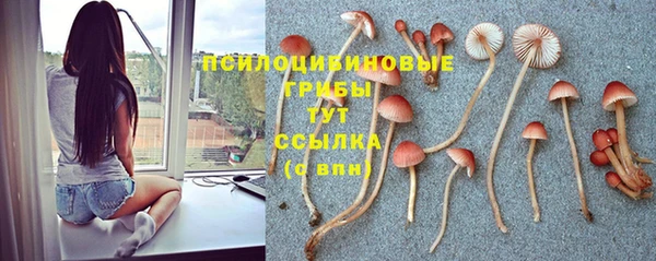 гашишное масло Арсеньев