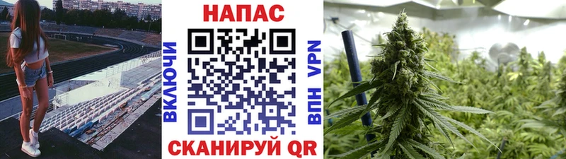 Конопля семена Снежинск